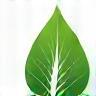 Eco-Friendly Processes icon